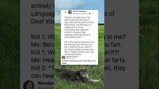#funny #youtubeshorts #youtube #memes