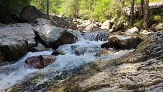 Asmr Torrente Valle Del Goglio