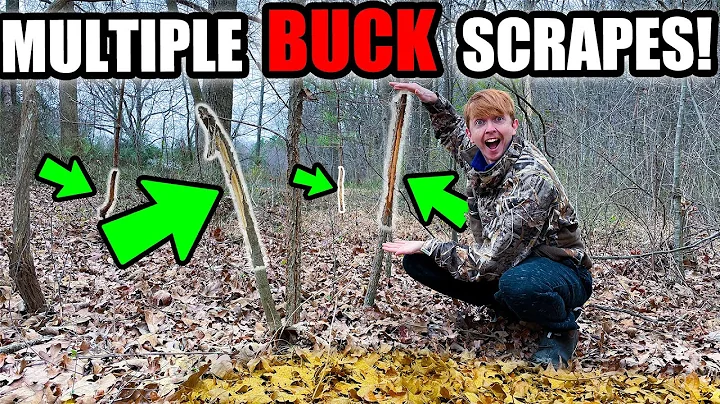 finding BIG BUCK evidence in my BACKYARD! | 100 yd...