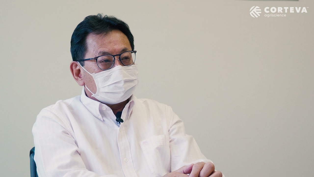 O controle de bicho-mineiro no verão | Revolux® em Iraí de Minas/MG