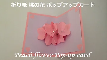 折り紙 桃の花 ポップアップカードの簡単な作り方 Niceno1 Origami Peach Flower Pop Up Card Tutorial Mp3