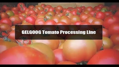 GELGOOG tomato processing line: For Tomato Juice, Sauce, Ketchup, Puree etc