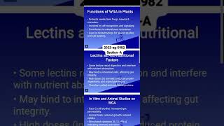 Lectins and their role in Wheat By Muhammad Ahsan Shafique (2023-ag-5982) sec-A