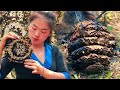 xia cook yellow wasp delicious primitive natural foods getting from forest