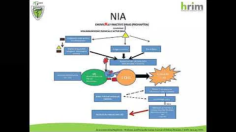 O que é nefrite e como se trata?