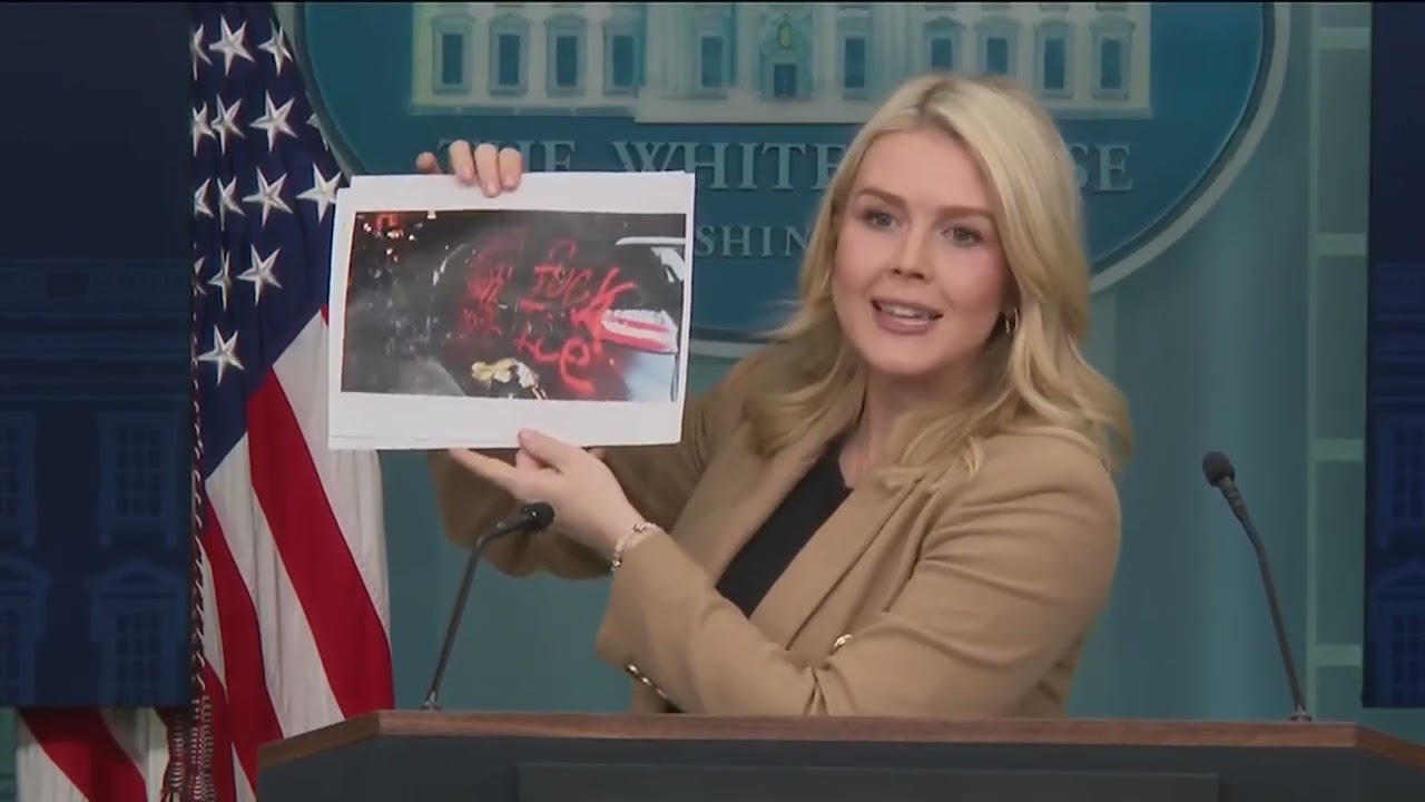 Ливитт обвиняет демократов и СМИ в насилии в отношении ICE (Иммиграционной и таможенной службы США).