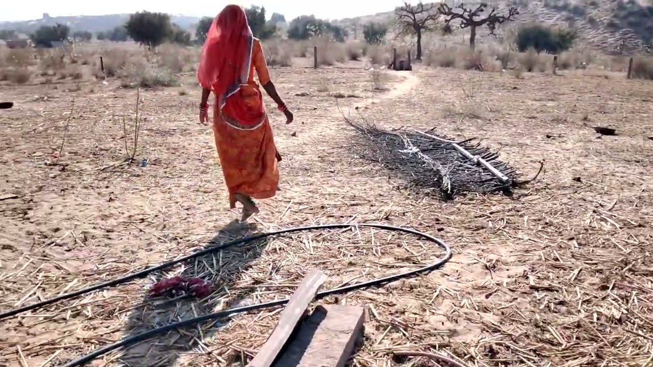 आज़ का नया विलोग वीडियो जरुर देखे और आनंद लो आज का विलोग नई अंदाज में 