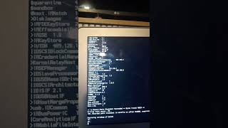 MacOS Kernel panic! (Catalina 10.15, Single User Mode) #kernel #macos
