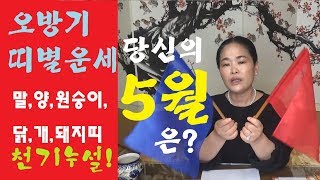 무당 순화당- [오방기신점] 5월의 띠별운세 [말,양,원숭이,닭,개,돼지띠]