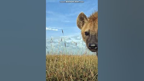 how to troll your friends with this code of virus  #shorts