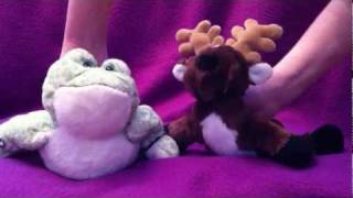 Webkinz Sing Off