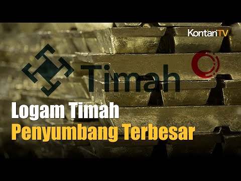 Laba PT Timah TINS Melonjak 87,28% Jadi Rp 1,14 Triliun pada Kuartal III 2022
