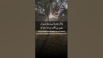ولاتقولن لشئ إني فاعل ذلك غدا  سورة الكهف  فارس عباد