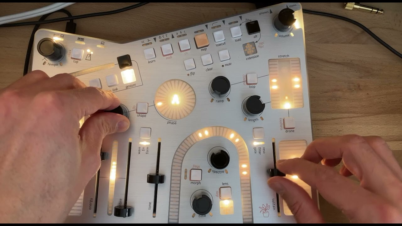 Whimsical Raps Atrium Patch #5