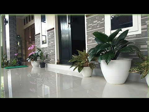 Menghias Teras dengan Tanaman Hias - YouTube