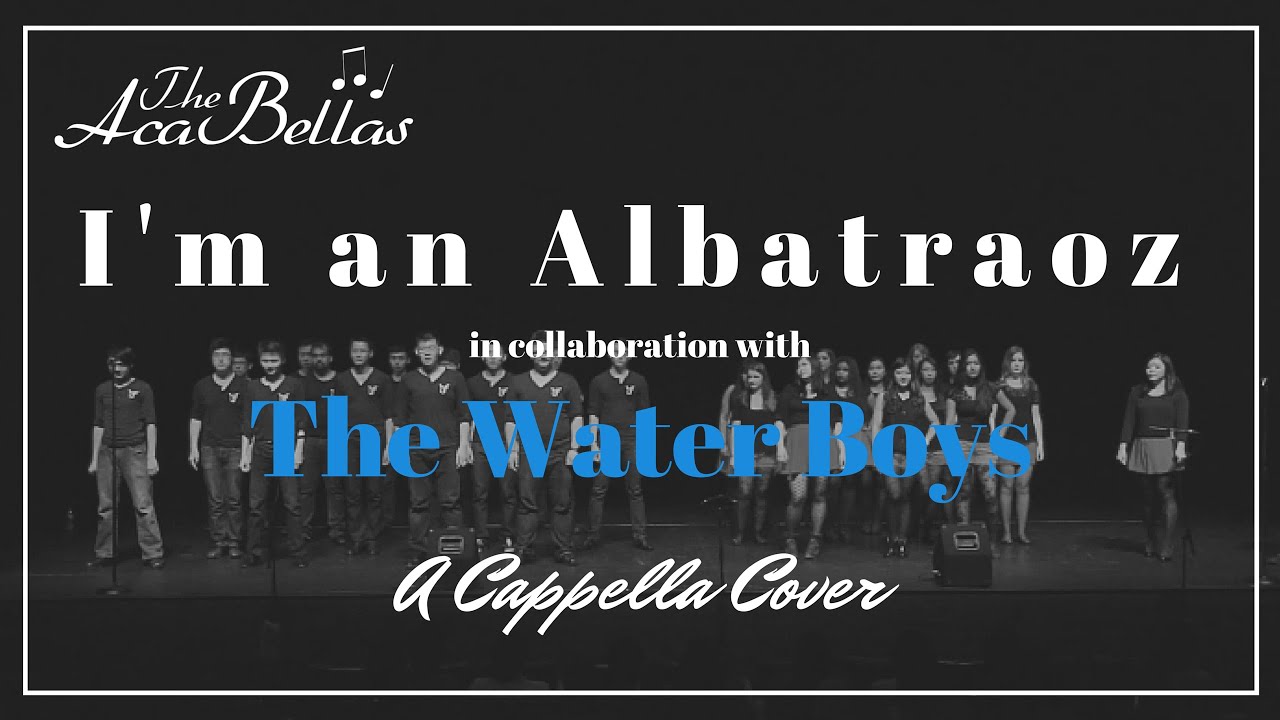 I'm an Albatraoz AronChupa (A Cappella Cover) YouTube