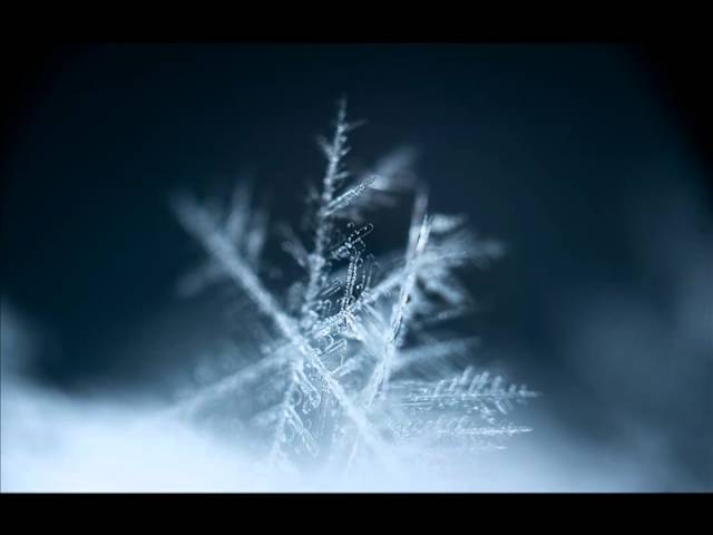 Regardez Trentemoller - Snowflake (Live Version) sur YouTube