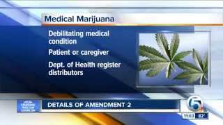 Bus tour pushes for medical marijuana florida