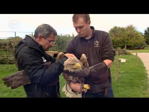 "Eagle-TV" - The World From Above | Euromaxx