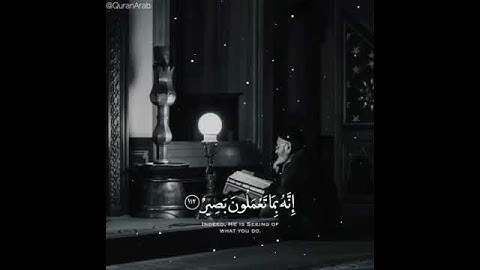 فاستقم كما امرت ومن تاب معك ولا تطغوا مقاطع دينية قصيرة قران كريم مع الترجمة | القارئ: محمد النقيب