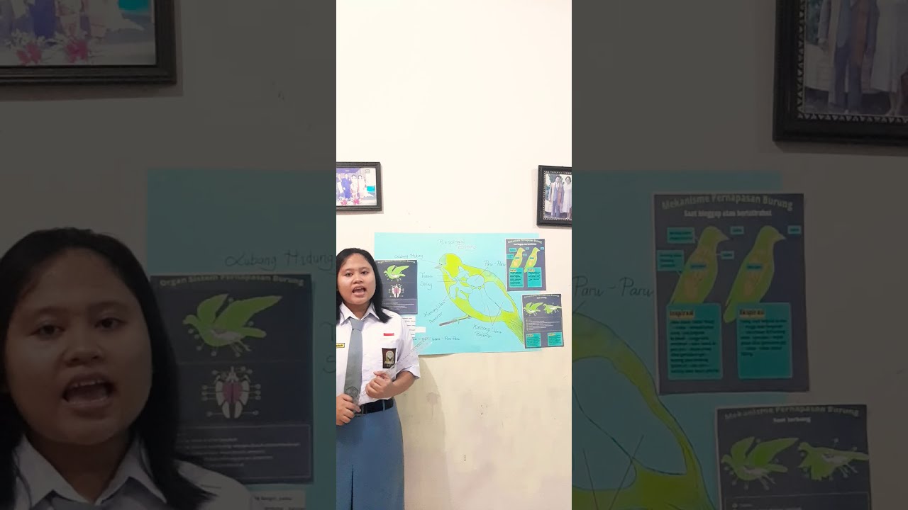 Sistem Pernapasan Burung Atau Aves