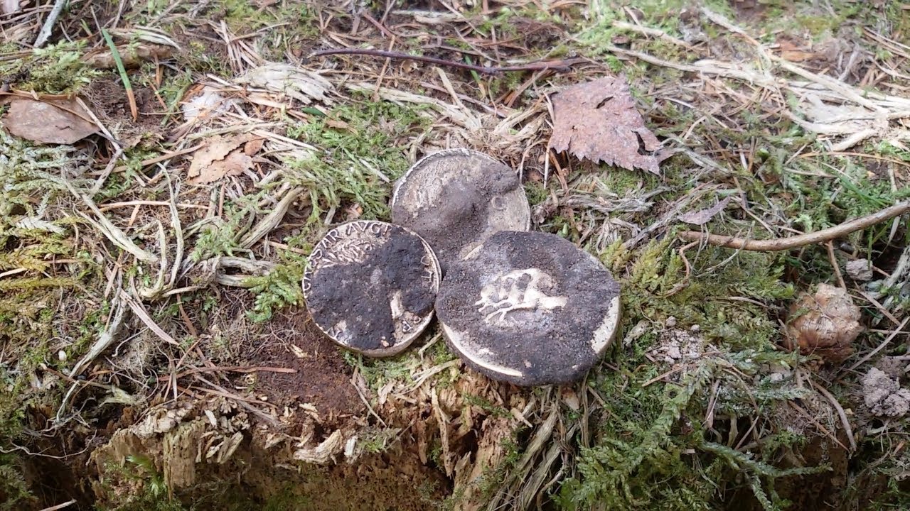 Real Treasure! Ancient Gold Coins - YouTube