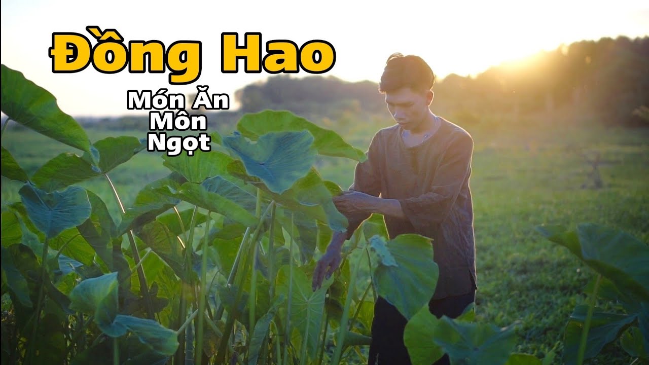 Môn Ngọt Món Ăn Tình Quê | Vlog 6 | Đồng Hao