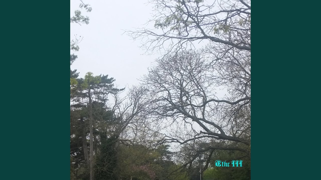 Παρακολούθηση Spyrograph στο YouTube Παρακολούθηση Spyrograph στο YouTube