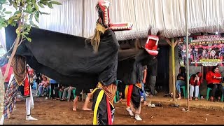 BARONGAN BANYUMASAN EBEG INTAN BUDAYA DI WELAHAN BINANGUN