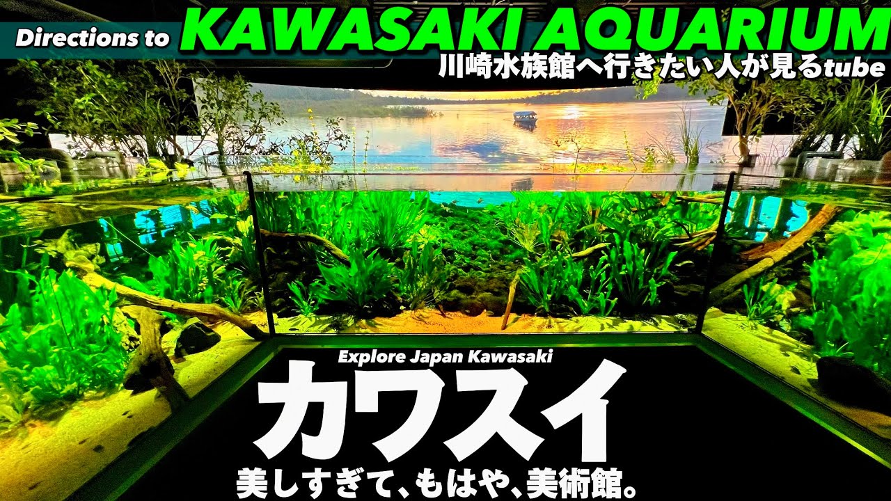 🐟【4K.川崎水族館】ビルの中にある淡水魚水族館カワスイへの行き方をご案内【アクセス|川崎駅】Directions to Kawasaki Aquarium. Japan Travel