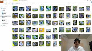 Machine Learning Project: Finding the optimal classifier for world's rarest butterfly