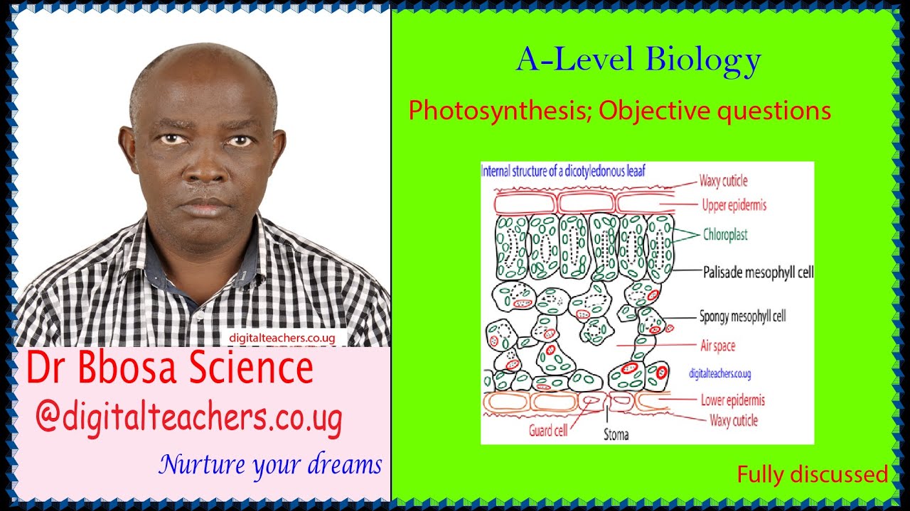 A-level biology lesson 12: Photosynthesis revision objective questions by Dr. Bbosa Science