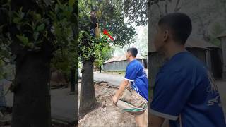 অস্থির বাঙালির অস্থির কমেন্ট 🤣|TikTok funny comments reading |CF2. #funnyshorts #funnycomments
