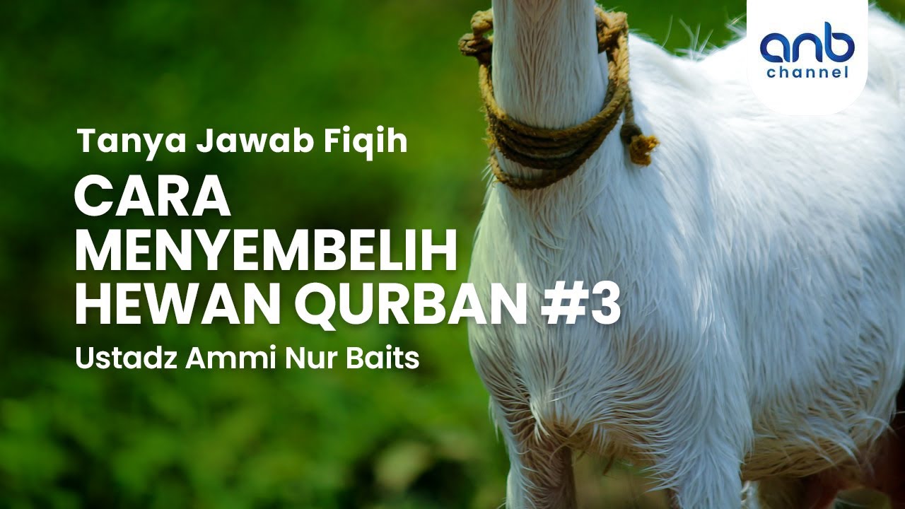 Cara Menyembelih Hewan Qurban #3