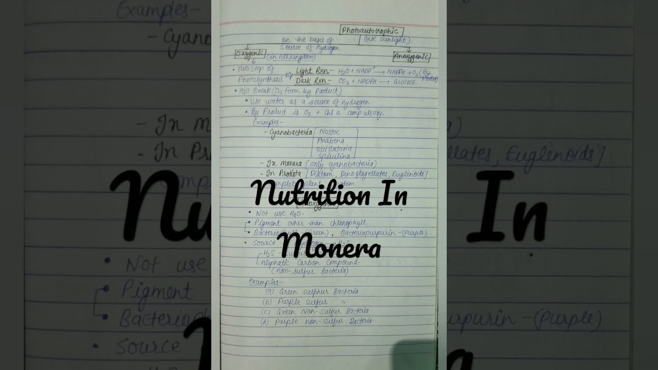 shorts biologyinsights firozsamani930 nutrition In Monera shorts biologyinsights firozsamani930 nutrition In Monera