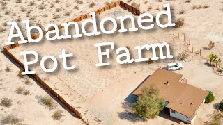 ONE YEAR | Progress on my Homestead in the Desert