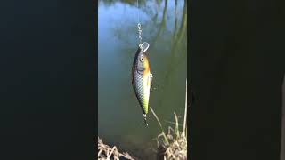 Test printed fishing lure 110mm . How it's working... #diy #viral #angeln #wobbler #3d
