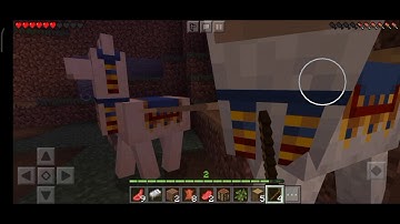 I killed the Wandering trader and the llamas!!!