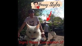 Sigi Rides Compilation 37