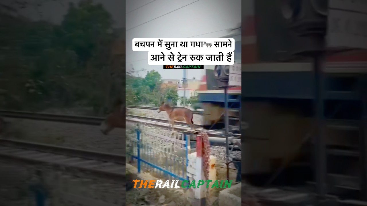 🇮🇳INDIAN RAILWAYS🚂 