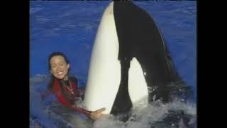 That's My Baby - Katina the Killer Whale