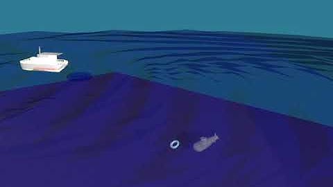 3Ds Max Sonar Radar Animation