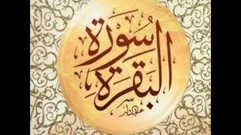 1/ بداية سورة البقرة. الم  ذَٰلِكَ الْكِتاب لَا ريْب ۛ فِيه ۛ هُدًى لِّلْمتَّقين من 1إلى الآية 16