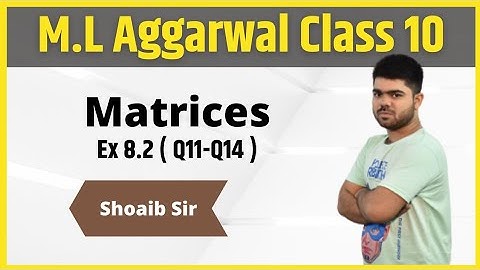 Class 10 | M.L  Aggarwal | Matrices | Ex 8.2 | Part 04