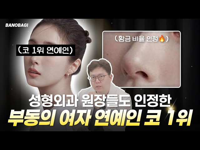 성형외과 전문의가 뽑은 여자 연예인 코 1위는?🔥 여자 연예인 코 이상형 월드컵 TOP8🔥