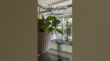 استمع للقرآن #ياسر_الدوسري #سورة_المؤمنون