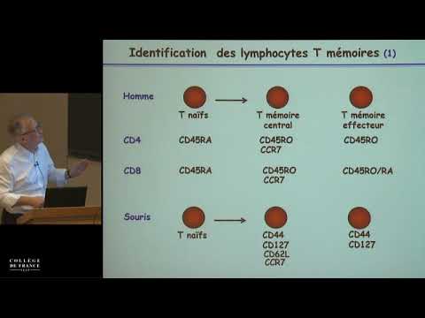 Eléments d'analyse du système immunitaire (2) - Alain Fischer (2013-2014)