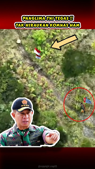 Download lagu KOMNAS HAM MINTA TNI DITARIK DARI PAPUA #abdinegara #tniad #siap55