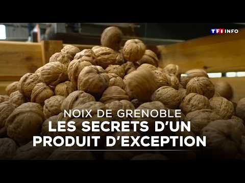 The secrets of the French walnut, a remarkable product looking to diversify