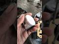 Honda shine bike full engine Fitting #automobile #shorts #engine #honda